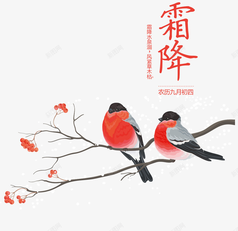 手绘小鸟psd免抠素材_新图网 https://ixintu.com 24节气霜降 中国风 卡通 卡通节气 小鸟 手绘 手绘矢量小鸟 霜降