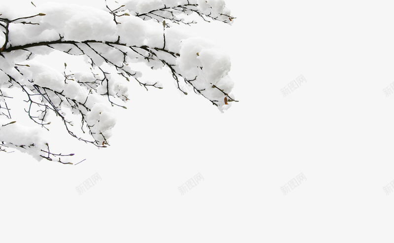 冬季雾凇美景png免抠素材_新图网 https://ixintu.com 冬季 寒冷 雪季 雪景 雾凇