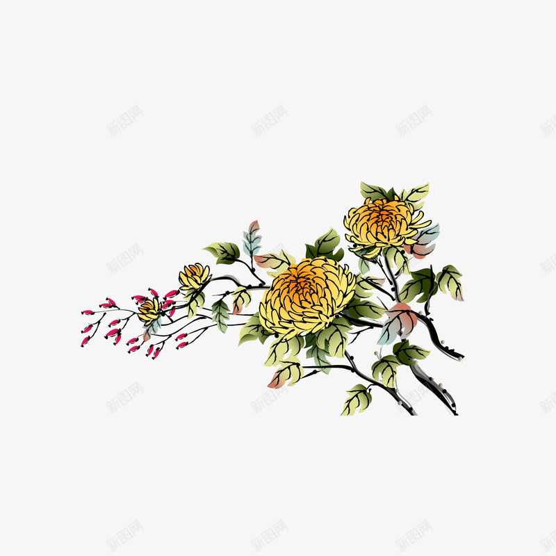 卡通古风手绘菊花png免抠素材_新图网 https://ixintu.com 中国风 手绘菊花 赏菊 重阳节 重阳节插画