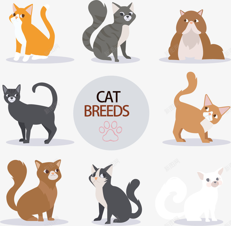 猫咪创意矢量图ai免抠素材_新图网 https://ixintu.com 小猫 小花猫 猫咪 猫咪创意 矢量图