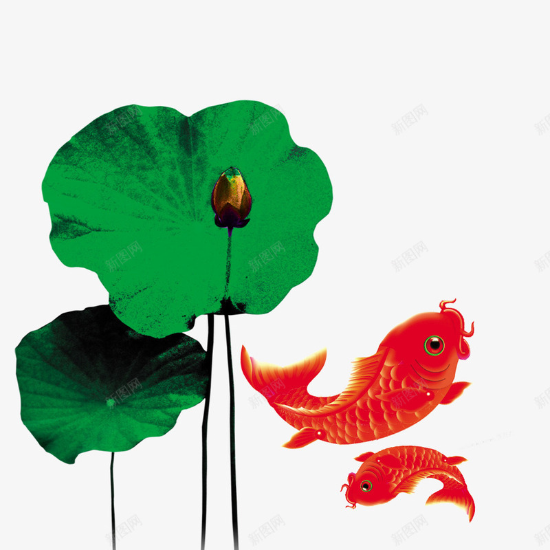 中国风之荷花psd免抠素材_新图网 https://ixintu.com 中国风 荷叶 荷花 鲤鱼