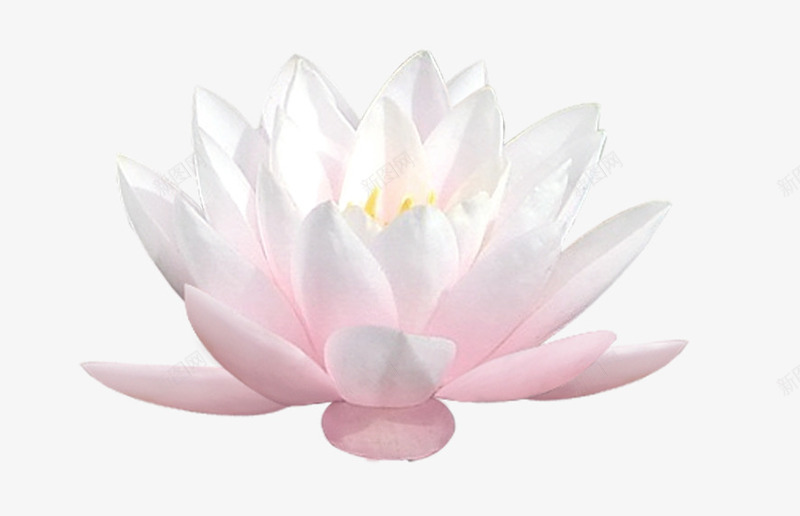 莲花花朵装饰png免抠素材_新图网 https://ixintu.com 花朵 莲花 装饰