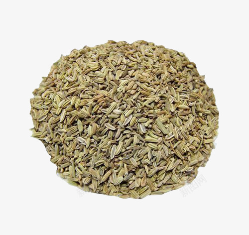 一堆小茴香png免抠素材_新图网 https://ixintu.com 产品实物 小茴香 茴香 食物