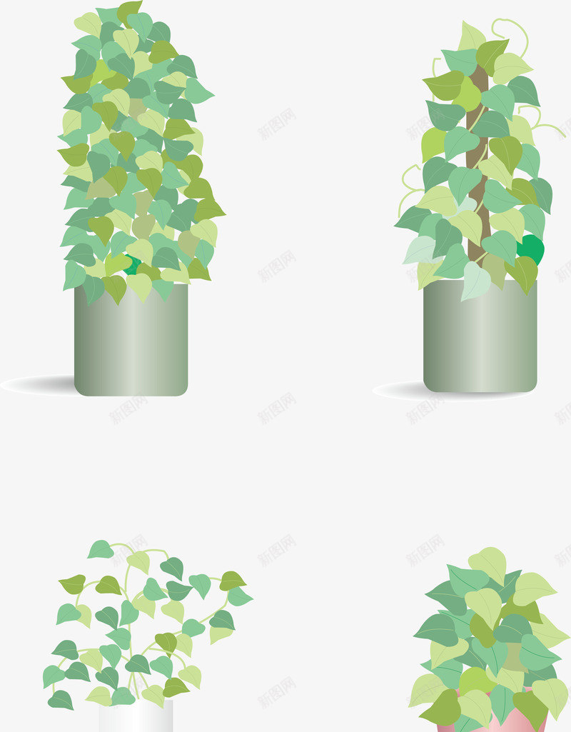 绿萝盆栽png免抠素材_新图网 https://ixintu.com 矢量绿萝盆栽 绿萝 绿萝盆栽 绿萝盆栽矢量图
