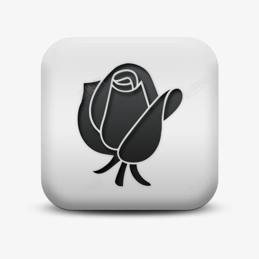 磨砂白广场图标自然奇迹花玫瑰Spng_新图网 https://ixintu.com SC flower icon matte natural rose sc square white wonders 图标 奇迹 广场 玫瑰 白 磨砂 自然 花