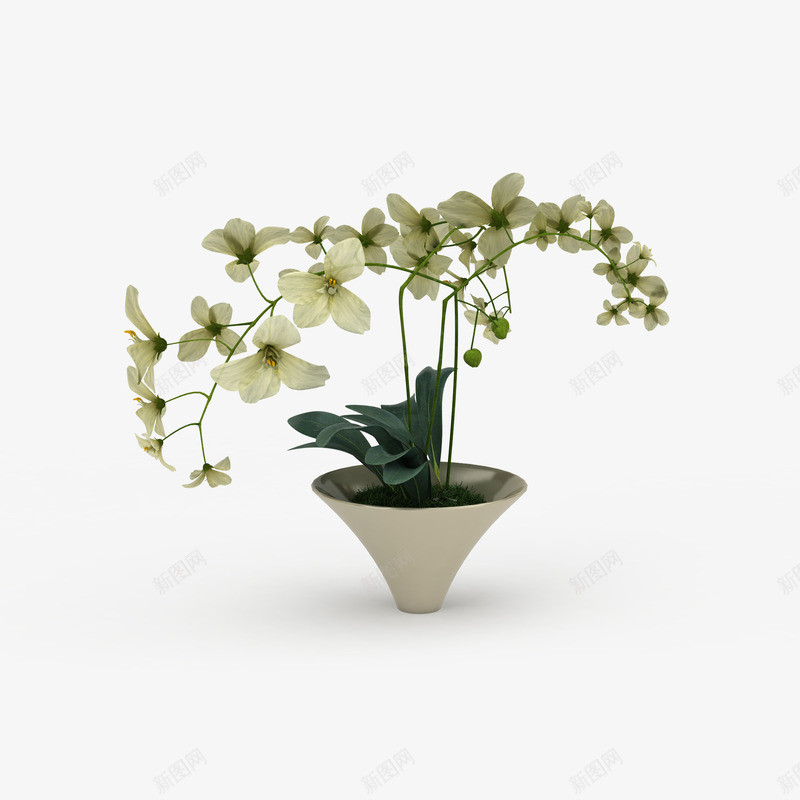 白色鲜花束盆栽png免抠素材_新图网 https://ixintu.com 白色 白色花束 白色鲜花束 白色鲜花束盆栽 盆栽 鲜花束