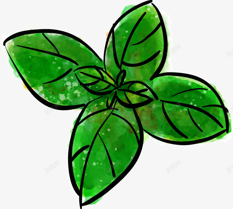 水彩薄荷叶png免抠素材_新图网 https://ixintu.com 水彩 薄荷叶