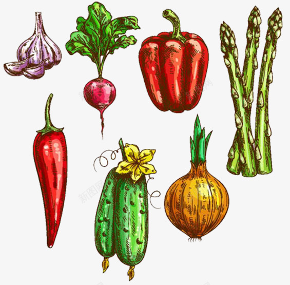 卡通手绘绿色蔬菜芦笋插画png免抠素材_新图网 https://ixintu.com 一捆 卡通 卡通笋 大葱 生活百科 芦笋 花菜 蔬菜 辣椒 餐饮美食