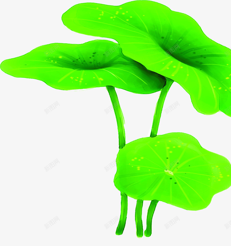 夏日植物绿色卡通手绘荷叶png免抠素材_新图网 https://ixintu.com 卡通 夏日 植物 绿色 荷叶