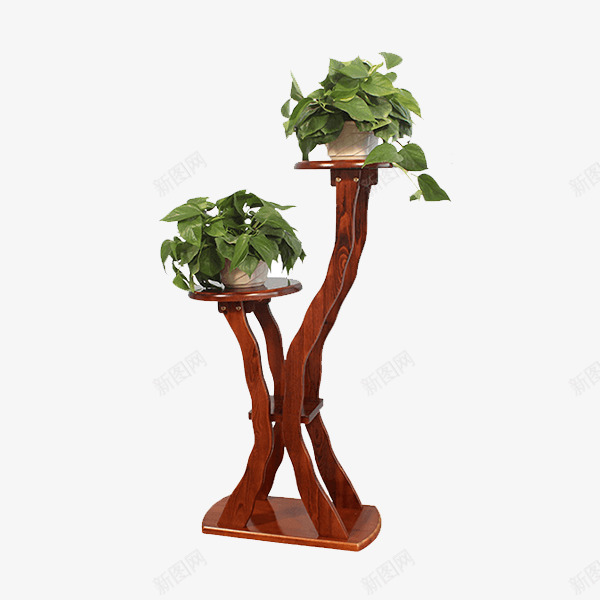 装饰品绿萝png免抠素材_新图网 https://ixintu.com 植物 盆栽 绿萝 绿萝花 装饰品