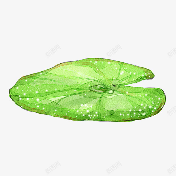 荷叶png免抠素材_新图网 https://ixintu.com 绿色 荷叶 露珠