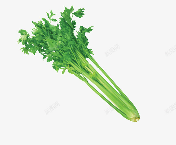 大西芹菜png免抠素材_新图网 https://ixintu.com 大西芹 有机蔬菜 蔬菜 食物