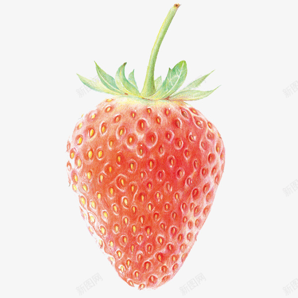 彩铅草莓png免抠素材_新图网 https://ixintu.com 卡通 手绘 草莓 装饰