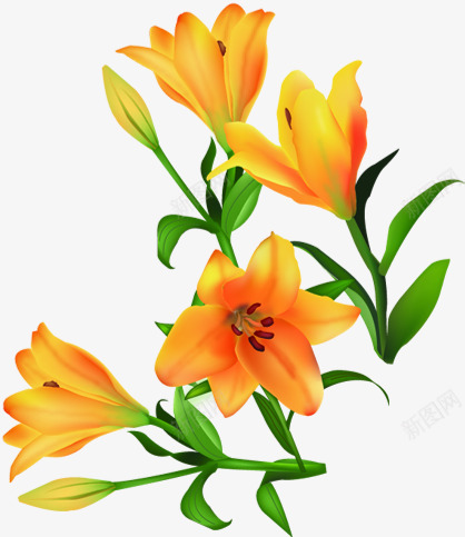 黄色卡通花朵植物贺卡装饰png免抠素材_新图网 https://ixintu.com 卡通 植物 花朵 装饰 贺卡 黄色