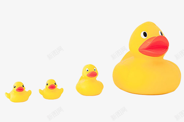 实物玩具4只小黄鸭png免抠素材_新图网 https://ixintu.com 一堆玩具 四只鸭子 小黄鸭 橡皮鸭子 玩具 黄色鸭子