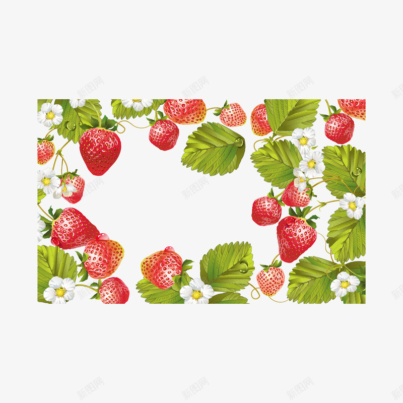 草莓植物底纹png免抠素材_新图网 https://ixintu.com 300像素图 EPS图免抠 大图免抠 植物 水果 草莓 高清免抠