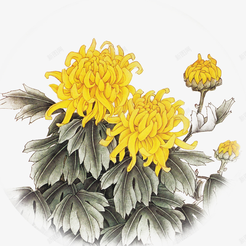 中国风水墨画重阳节海报菊花png_新图网 https://ixintu.com 中国风 中国风水墨画重阳节海报设计菊花圆圈元素免费下载 传统节日 圆圈 墨菊花 水墨画 海报设计 菊花 重阳节