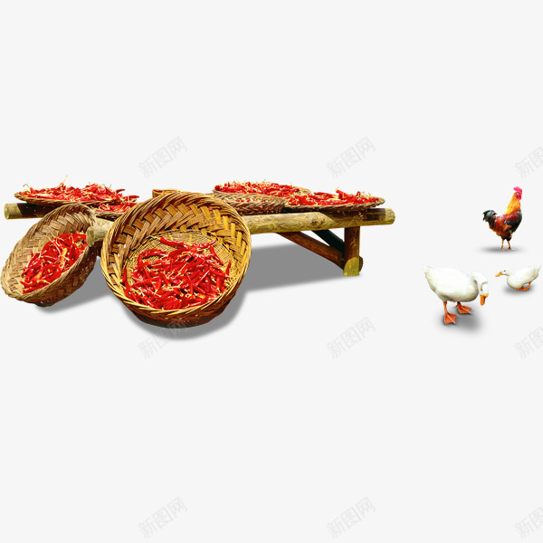 在乡村的庭院里晒辣椒养鸡png免抠素材_新图网 https://ixintu.com 产品实物 家鸡 白色 篮子 辣椒