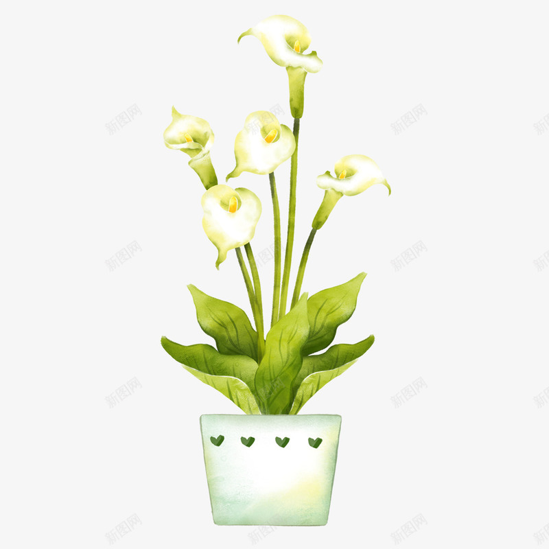水彩盆栽绿植png免抠素材_新图网 https://ixintu.com 开花 水彩 盆栽 绿植 花朵
