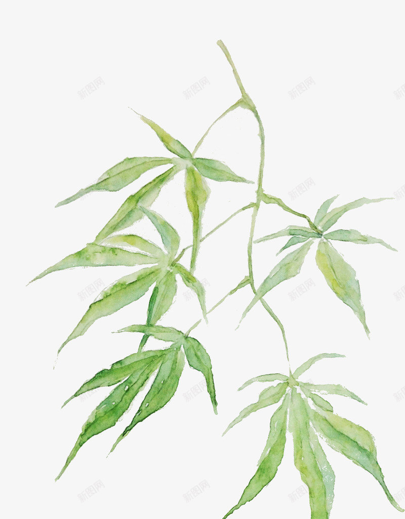 漂浮树叶png免抠素材_新图网 https://ixintu.com 中国风 古风 手绘 树枝
