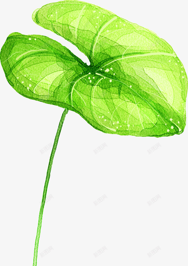 荷叶卡通夏天png免抠素材_新图网 https://ixintu.com 卡通 夏天 荷叶
