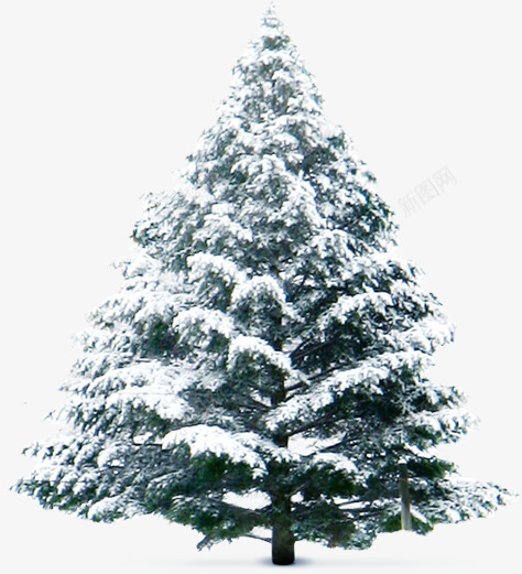 冬季冰雪树木png免抠素材_新图网 https://ixintu.com 冬季 冰雪 树木 素材