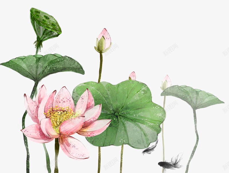 手绘荷花装饰图案psd免抠素材_新图网 https://ixintu.com 卡通手绘 植物 荷叶 荷花 莲花 装饰图案
