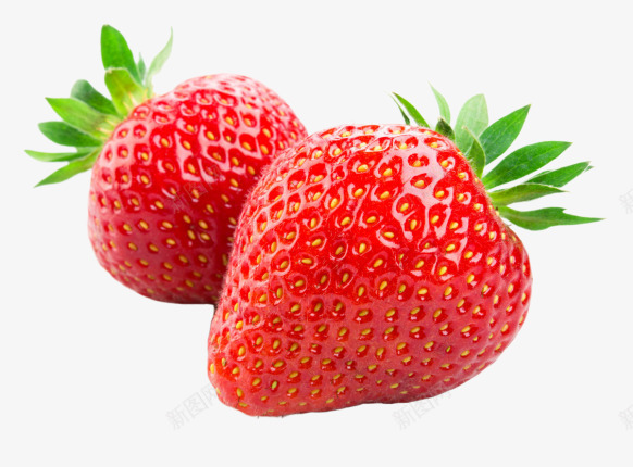 两个新鲜的大草莓png免抠素材_新图网 https://ixintu.com 水果 红色 红色水果 草莓 食物