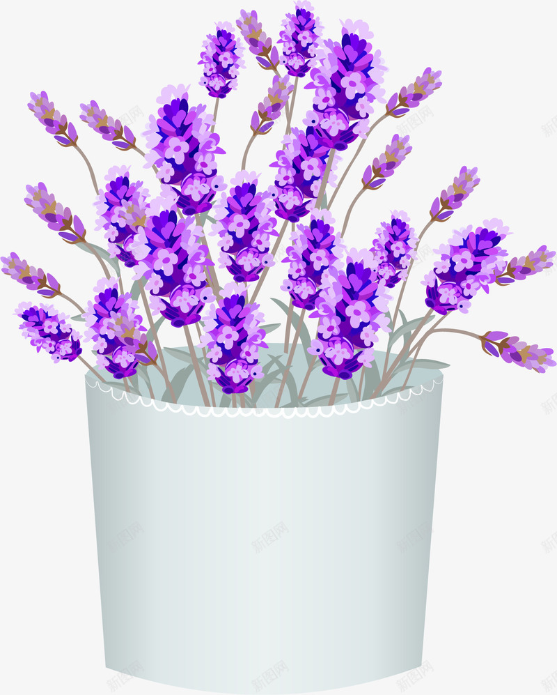 花盆里的薰衣草矢量图eps免抠素材_新图网 https://ixintu.com 家庭装饰 浪漫装饰 盆栽 矢量素材 薰衣草 矢量图