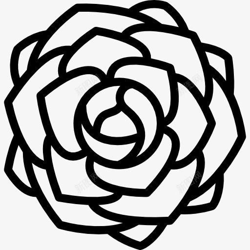 牡丹图标png_新图网 https://ixintu.com 植物 牡丹 自然 花 花瓣