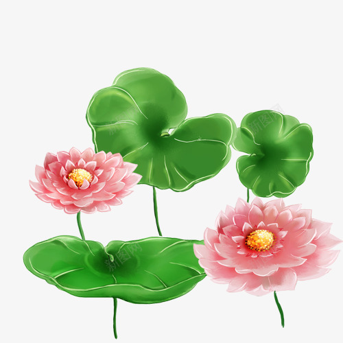 手绘荷花荷叶花卉png免抠素材_新图网 https://ixintu.com 绿植 花卉 荷叶 荷花 风景