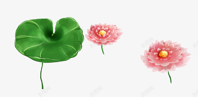 卡通夏日清新荷花荷叶psd免抠素材_新图网 https://ixintu.com 卡通 夏日 清新 荷叶 荷花