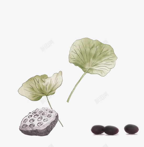 绿色中国风荷叶装饰图案png免抠素材_新图网 https://ixintu.com 中国风 免抠PNG 绿色 荷叶 装饰图案