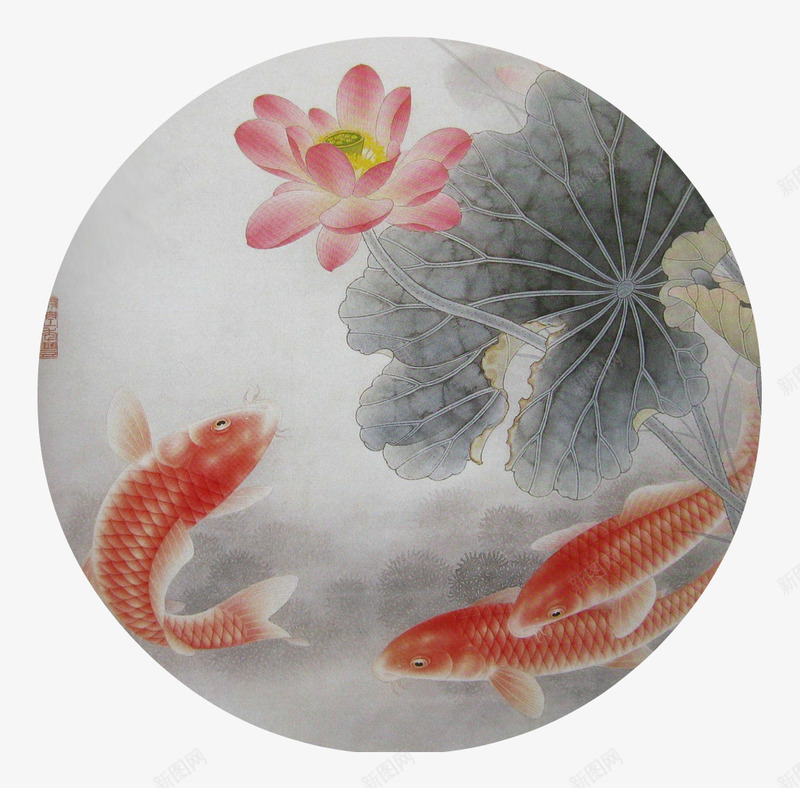 金鱼连花儿片png免抠素材_新图网 https://ixintu.com 工笔画 工笔荷花 荷花 莲花 金鱼