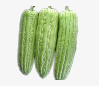 蔬菜卡通卡通蔬菜苦瓜图标png_新图网 https://ixintu.com 卡通 卡通蔬菜图片 手绘 手绘食物 绿色食品 苦瓜 蔬菜 食物 食物图标