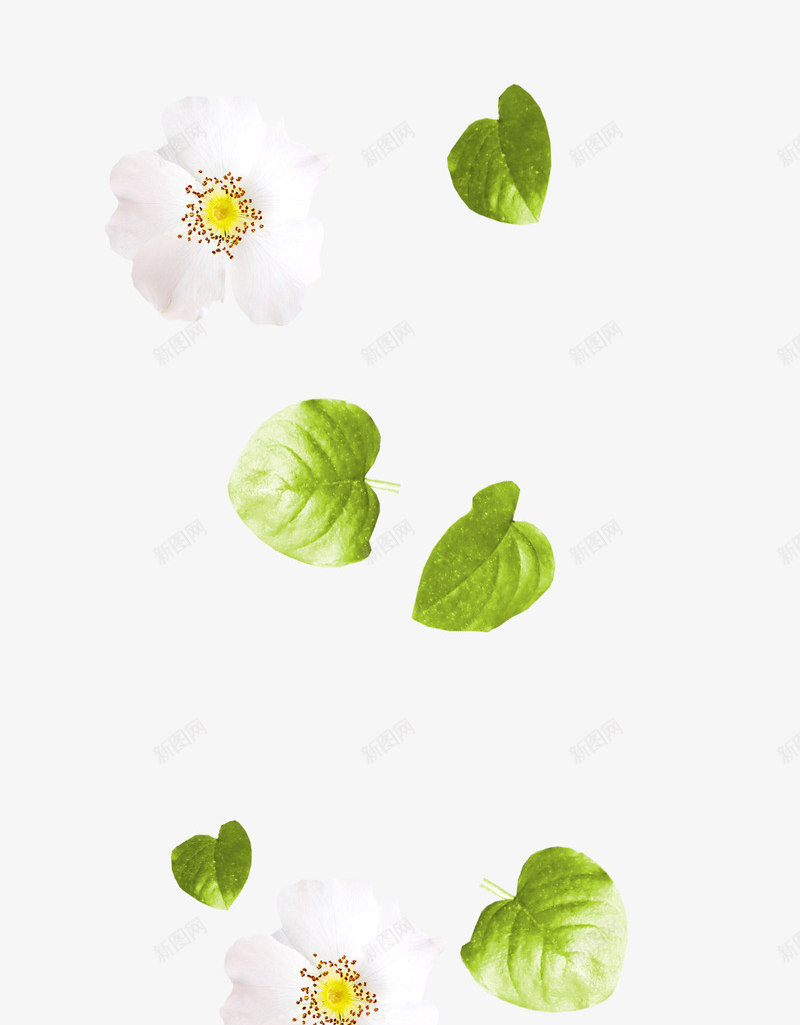 漂浮花叶png免抠素材_新图网 https://ixintu.com 叶子 树叶 花朵 鲜花