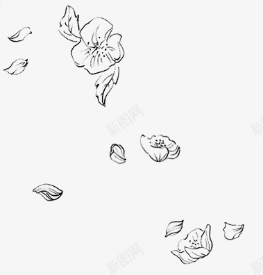 飘浮花瓣png免抠素材_新图网 https://ixintu.com 植物 模糊 黑色