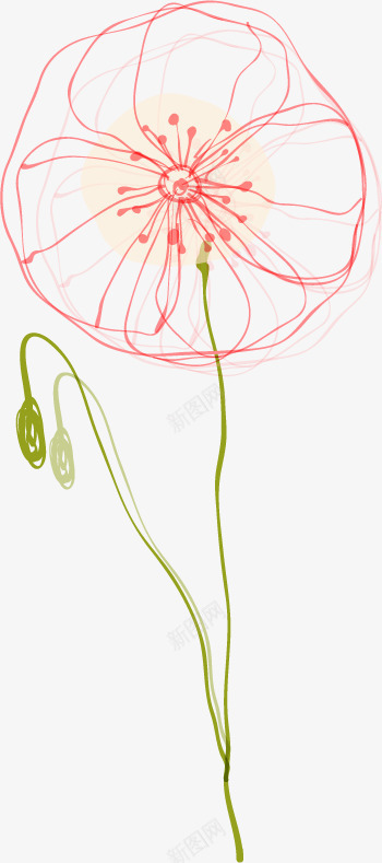 花卉png免抠素材_新图网 https://ixintu.com 唯美 手绘 素描 美丽 花卉 花朵 荷花