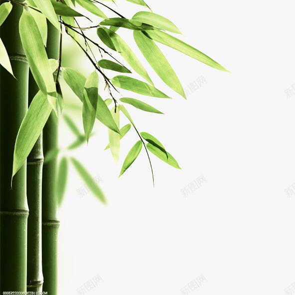 大自然竹叶psd免抠素材_新图网 https://ixintu.com 大自然 竹叶 竹子 绿色