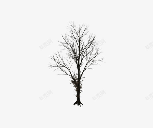枯枝萧条大树png免抠素材_新图网 https://ixintu.com 大树 实物 枯枝 树 植物 萧条