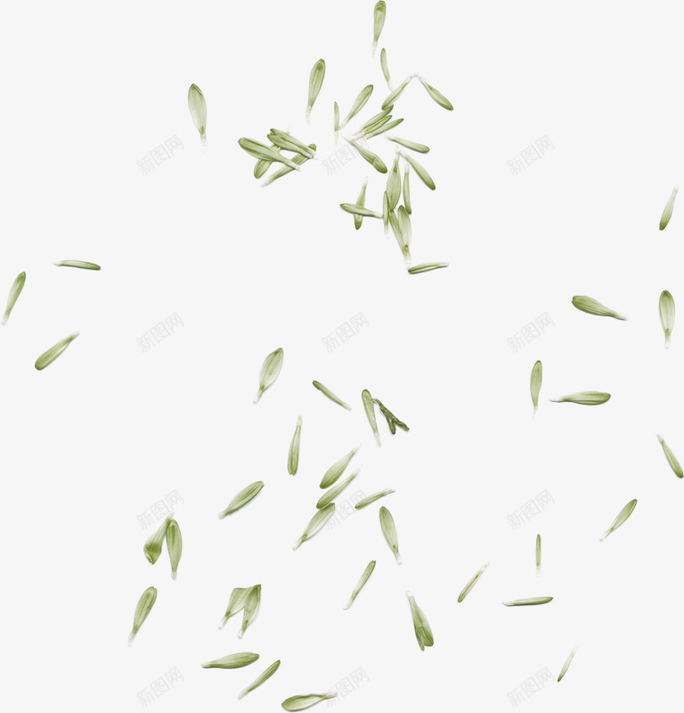 手绘白色漂浮花瓣png免抠素材_新图网 https://ixintu.com 漂浮素材 花瓣 菊花 装饰