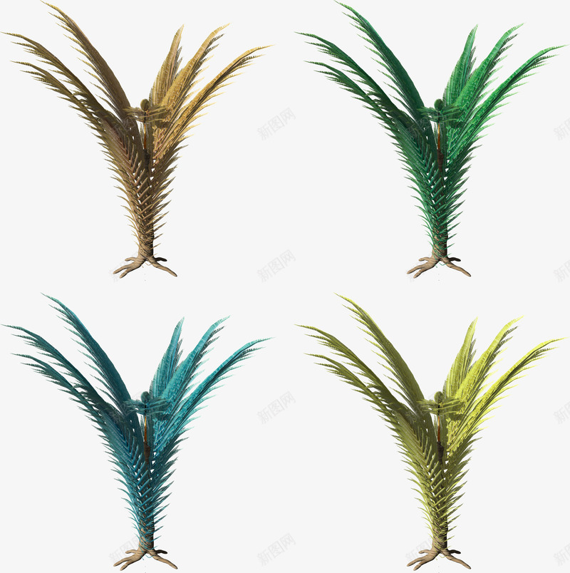 热带小草png免抠素材_新图网 https://ixintu.com 小草素材 植物素材 热带植物元素 硬质小草图案