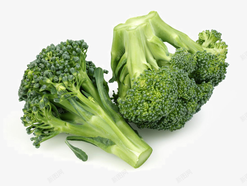 切好的西兰花png免抠素材_新图网 https://ixintu.com 切好的西兰花 美食 美食图片 蔬菜 蔬菜食物 西兰花 食物美食