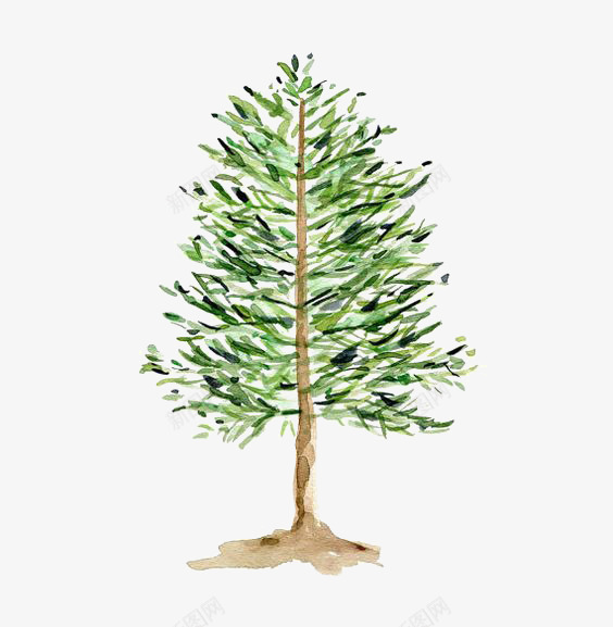 水彩树苗png免抠素材_新图网 https://ixintu.com 卡通 大树 手绘树苗 植物 绿色