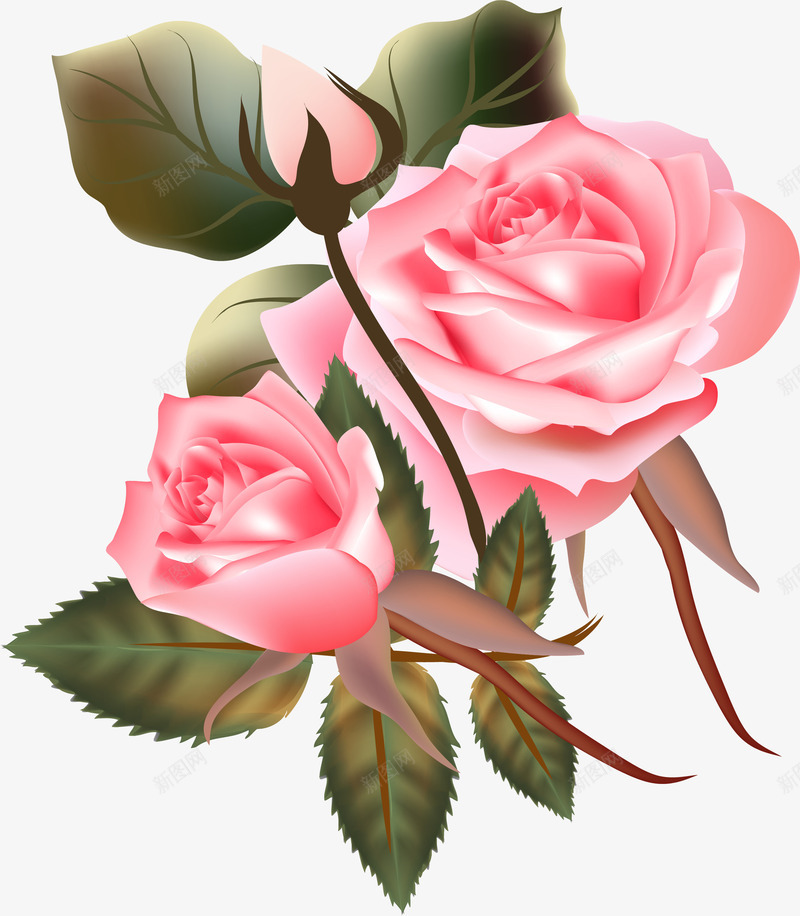 手绘美丽月季花玫瑰花png免抠素材_新图网 https://ixintu.com 包装设计 小清新包装 布料印花 月季花 玫瑰花 花朵 花朵装饰 花瓣 花瓣装饰 花草设计 贺卡设计