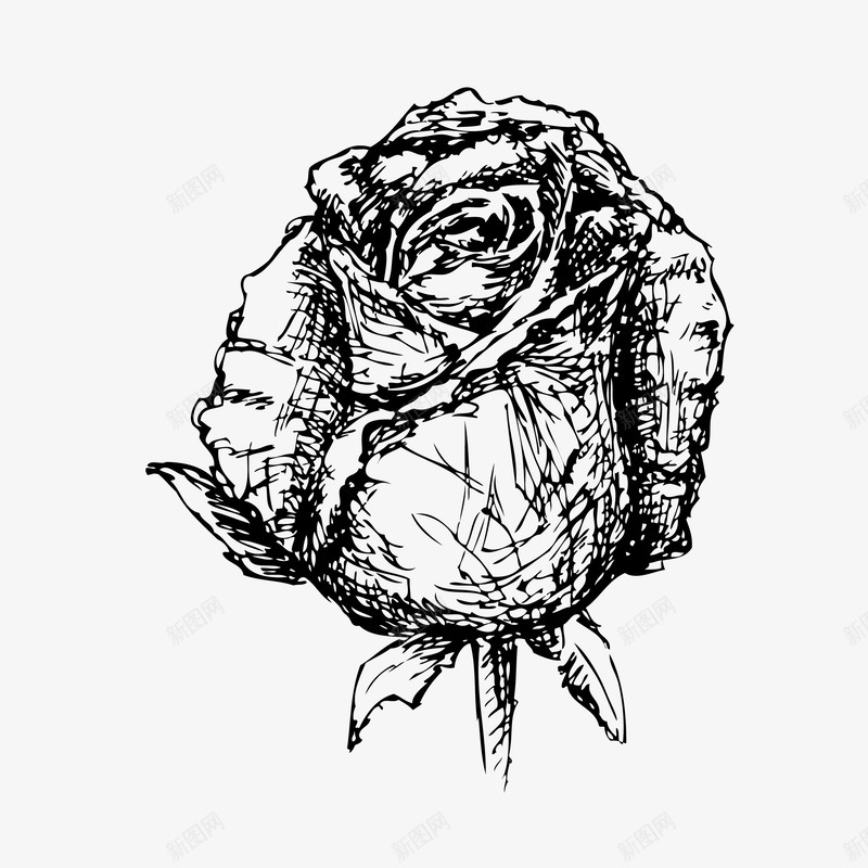 玫瑰花边花纹手绘png免抠素材_新图网 https://ixintu.com 复古 婚礼 底纹边框 框 玫瑰 玫瑰纹身 玫瑰背景 玫黑白 花 花朵 花边 花边花纹 设计 邀请 黑白线条花 黑白花边