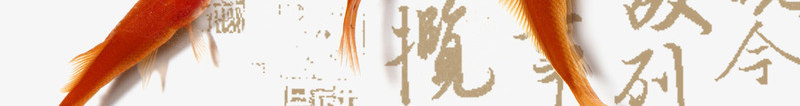 金鱼创意书法培训班png_新图网 https://ixintu.com 书法培训 书法培训班 免抠素材 创意海报 金鱼背景