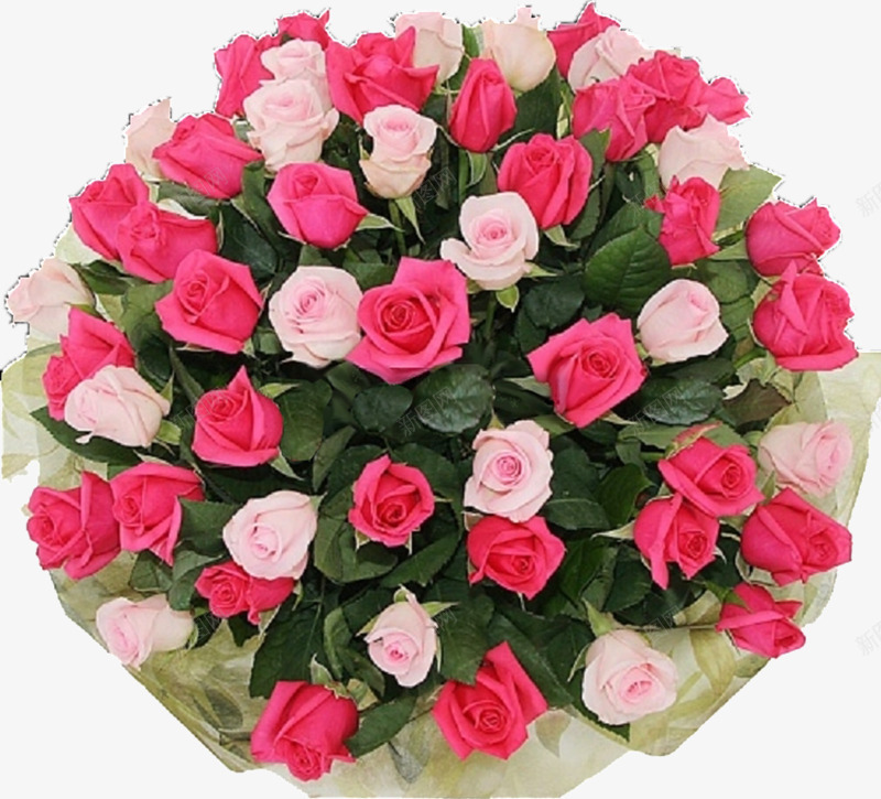 一束美丽的花png免抠素材_新图网 https://ixintu.com 好看 手绘 美丽 花朵