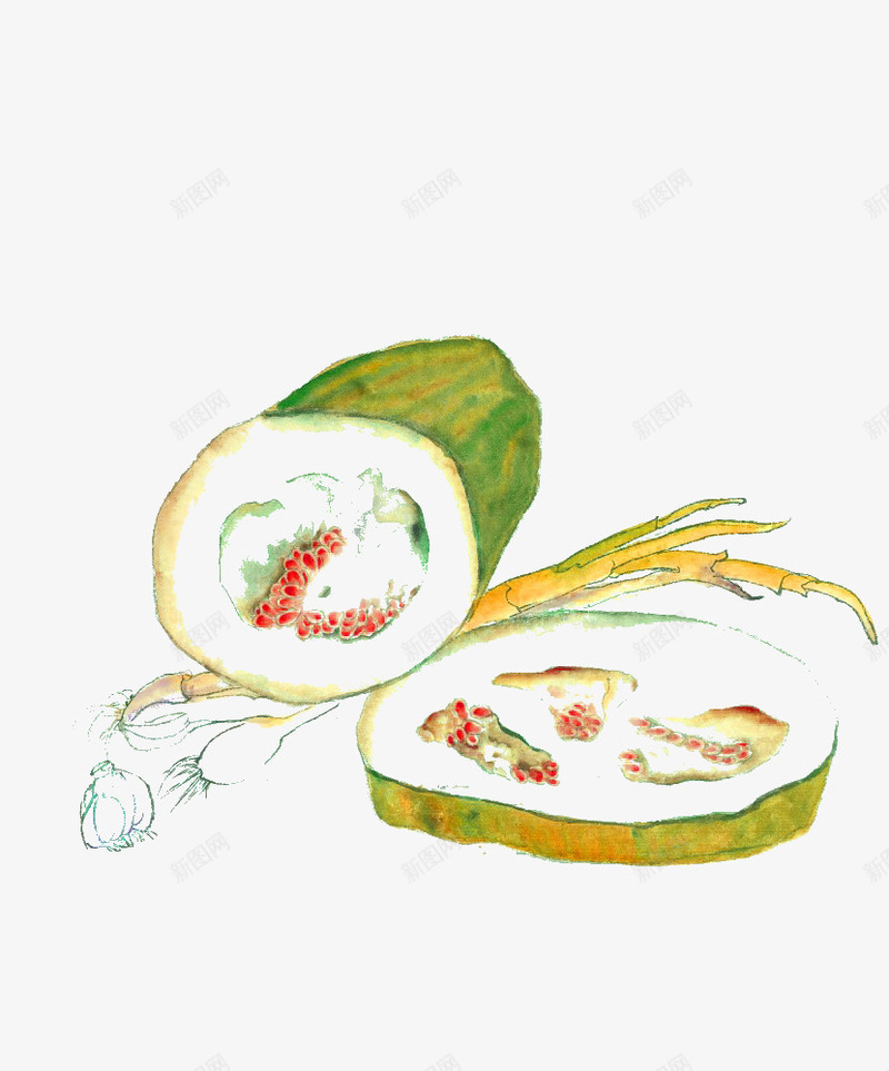 手绘冬瓜png免抠素材_新图网 https://ixintu.com 冬瓜 卡通 彩绘 手绘 橘色 水彩冬瓜 简图 绿色 蔬菜 黄色