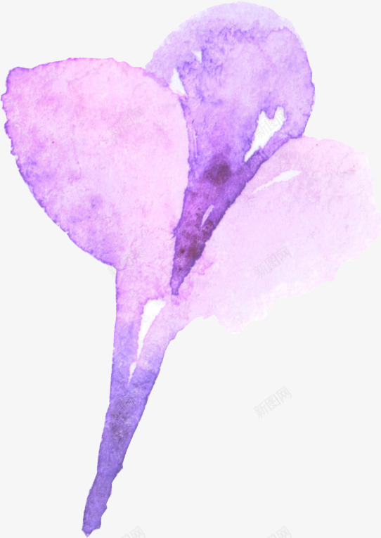 漂浮花png免抠素材_新图网 https://ixintu.com 丁香花 紫色 花瓣